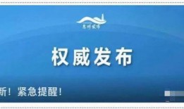 莆田今日爆料,聚焦热点事件，揭秘幕后真相