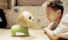 央视爆料七仔挑食视频,央视揭秘宠物饮食新现象